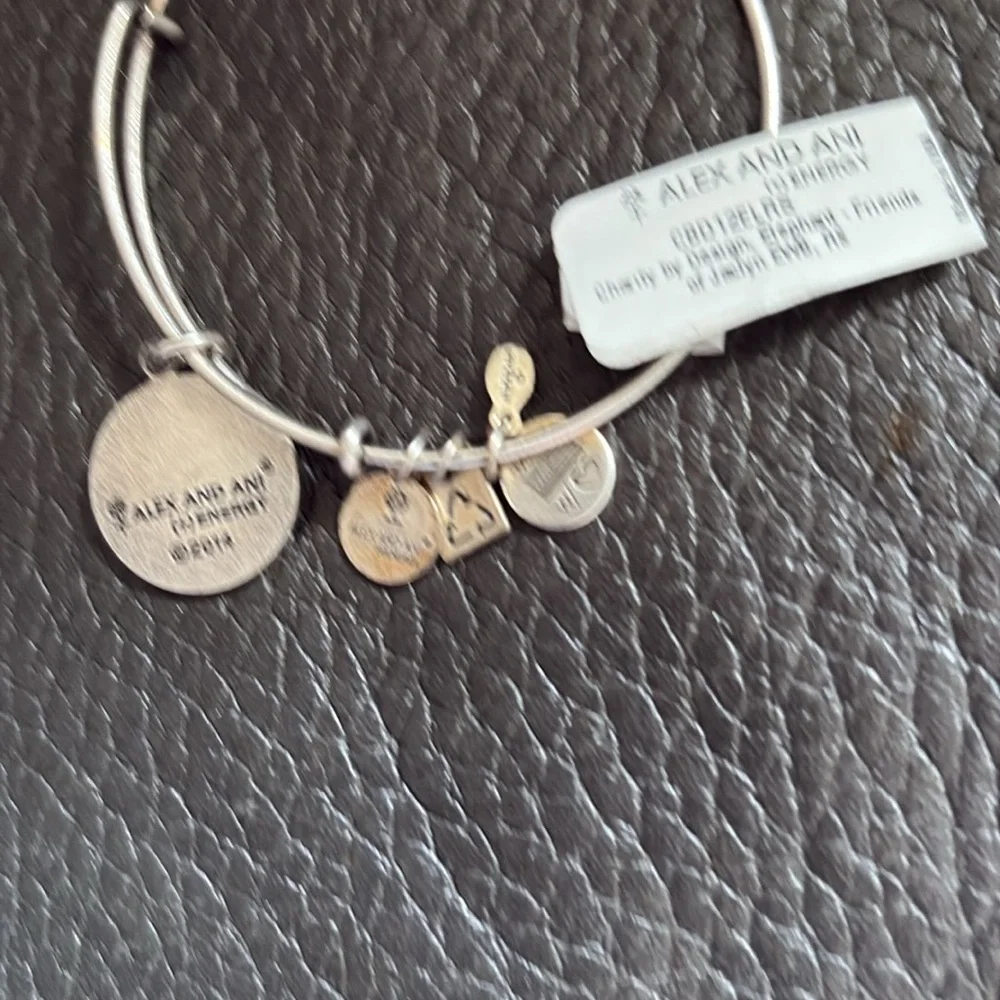 Alex and Ani Silver distressed look Elephant Charm Bracelet